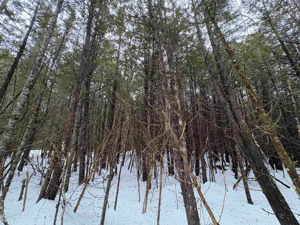 $99,000 | 1974 The Bend Road, Greensboro, VT 05841