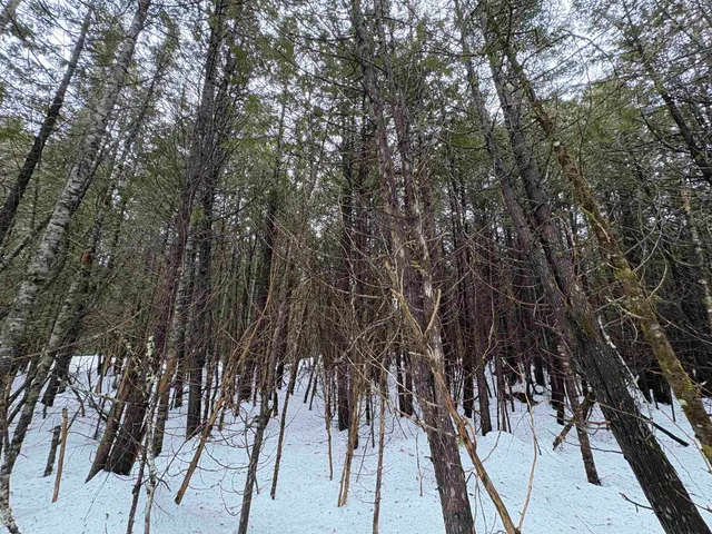 $99,000 | 1974 The Bend Road, Greensboro, VT 05841