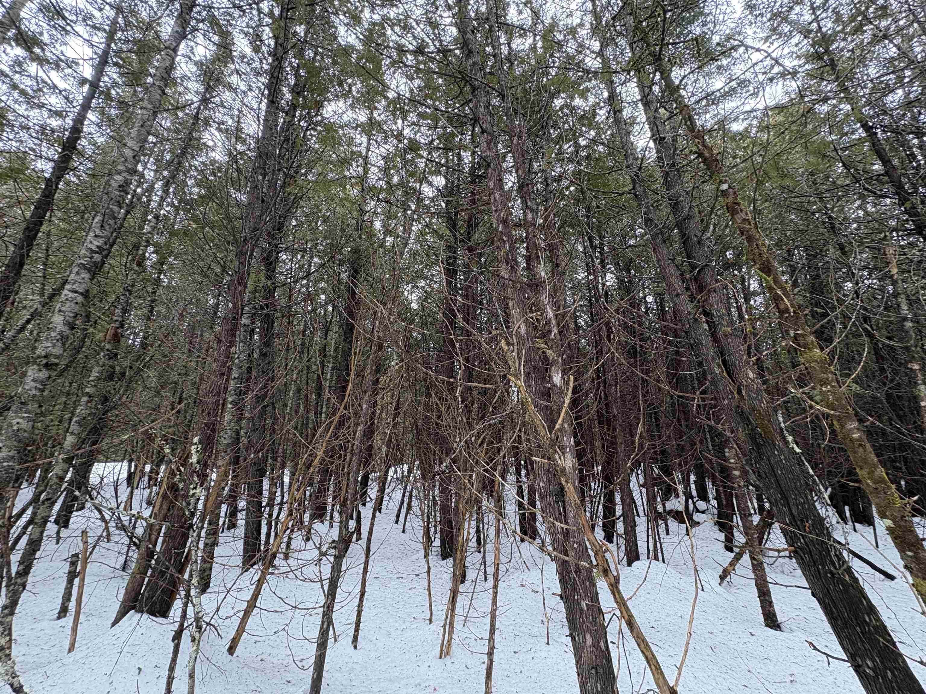 1974 The Bend Road Greensboro, VT 05841 - Photo 9 of 14