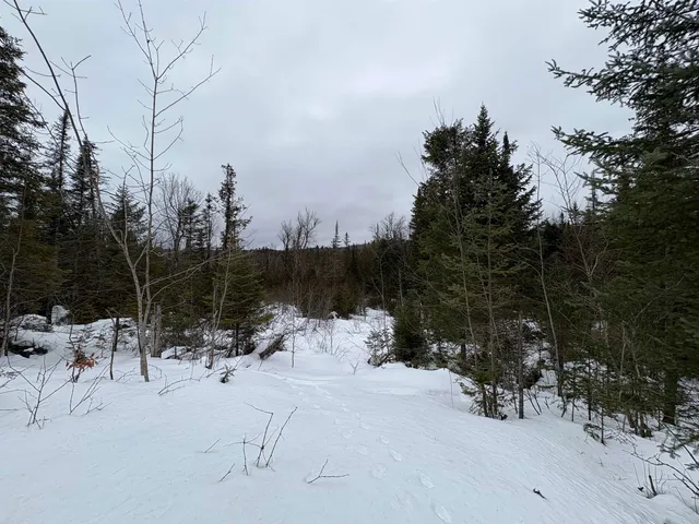 $99,000 | 1974 The Bend Road, Greensboro, VT 05841