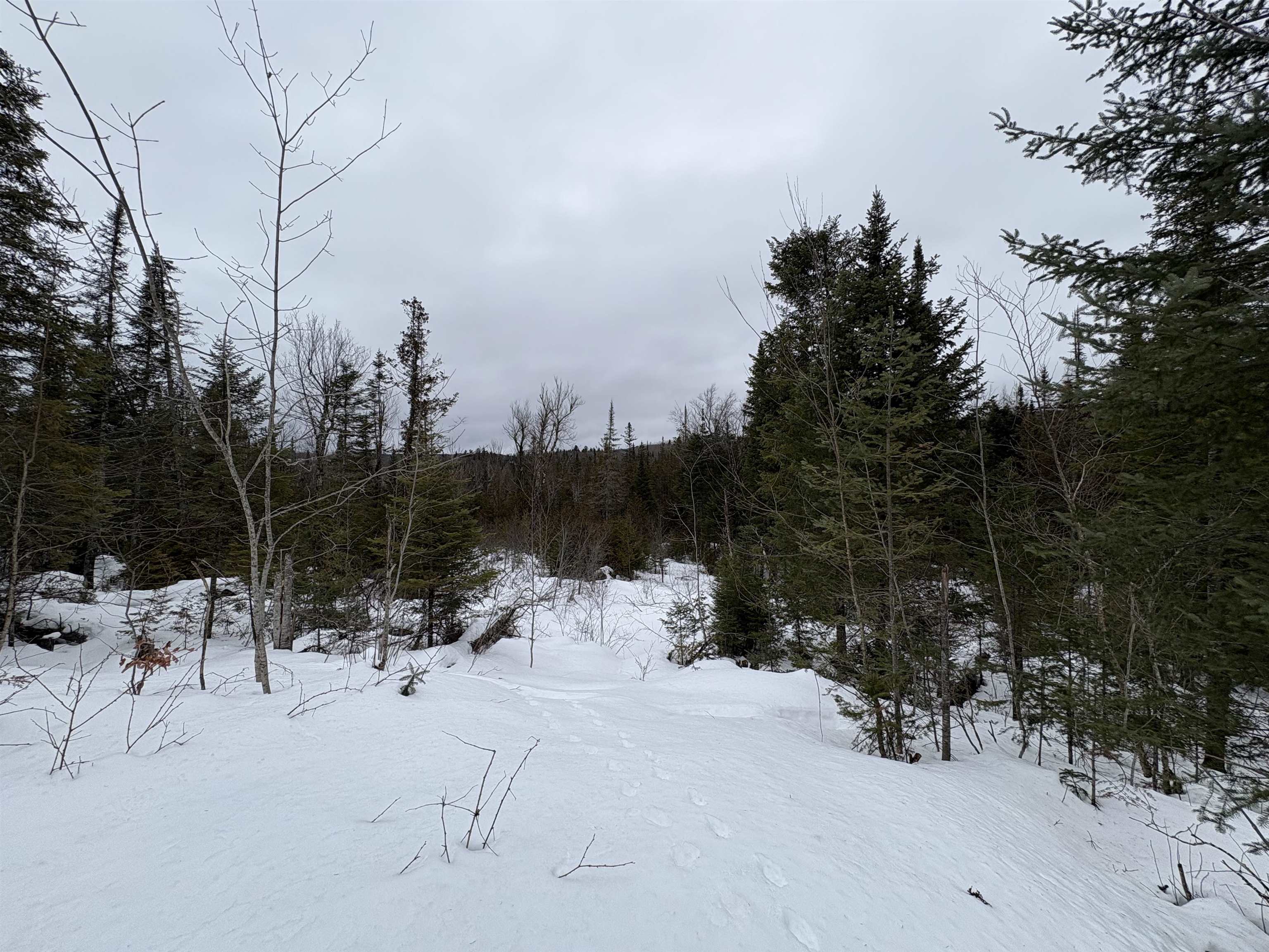 1974 The Bend Road Greensboro, VT 05841 - Photo 10 of 14