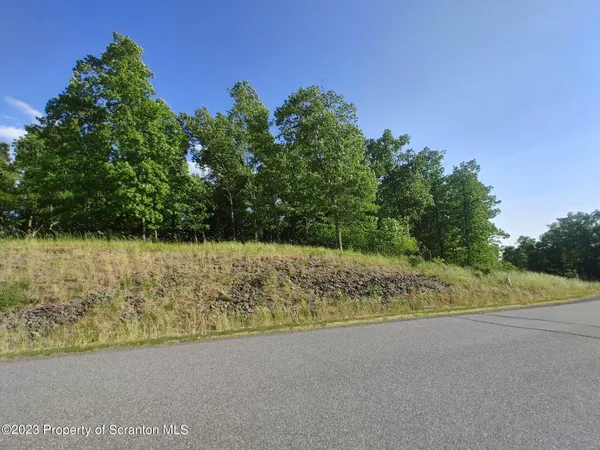 a view of a yard with an trees