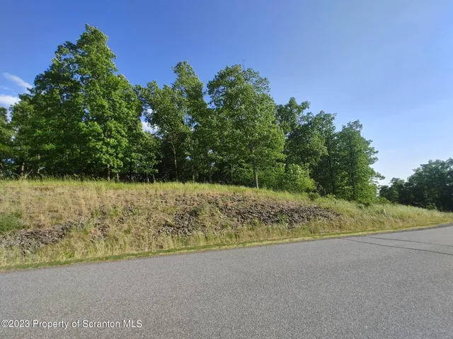a view of a yard with an trees