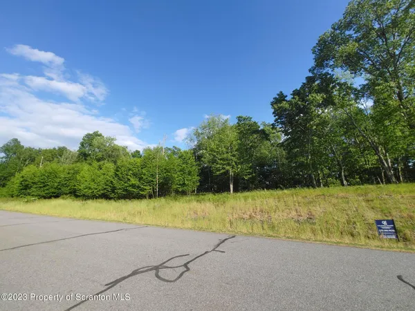 a view of a yard with palm trees