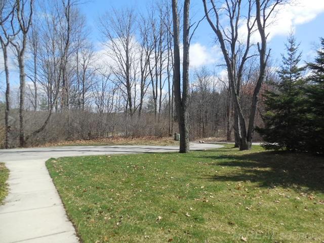 371 Hunters Ridge Ortonville, MI 48462 - Photo 52 of 53