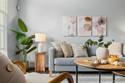 a living room with furniture flowerpot and a window