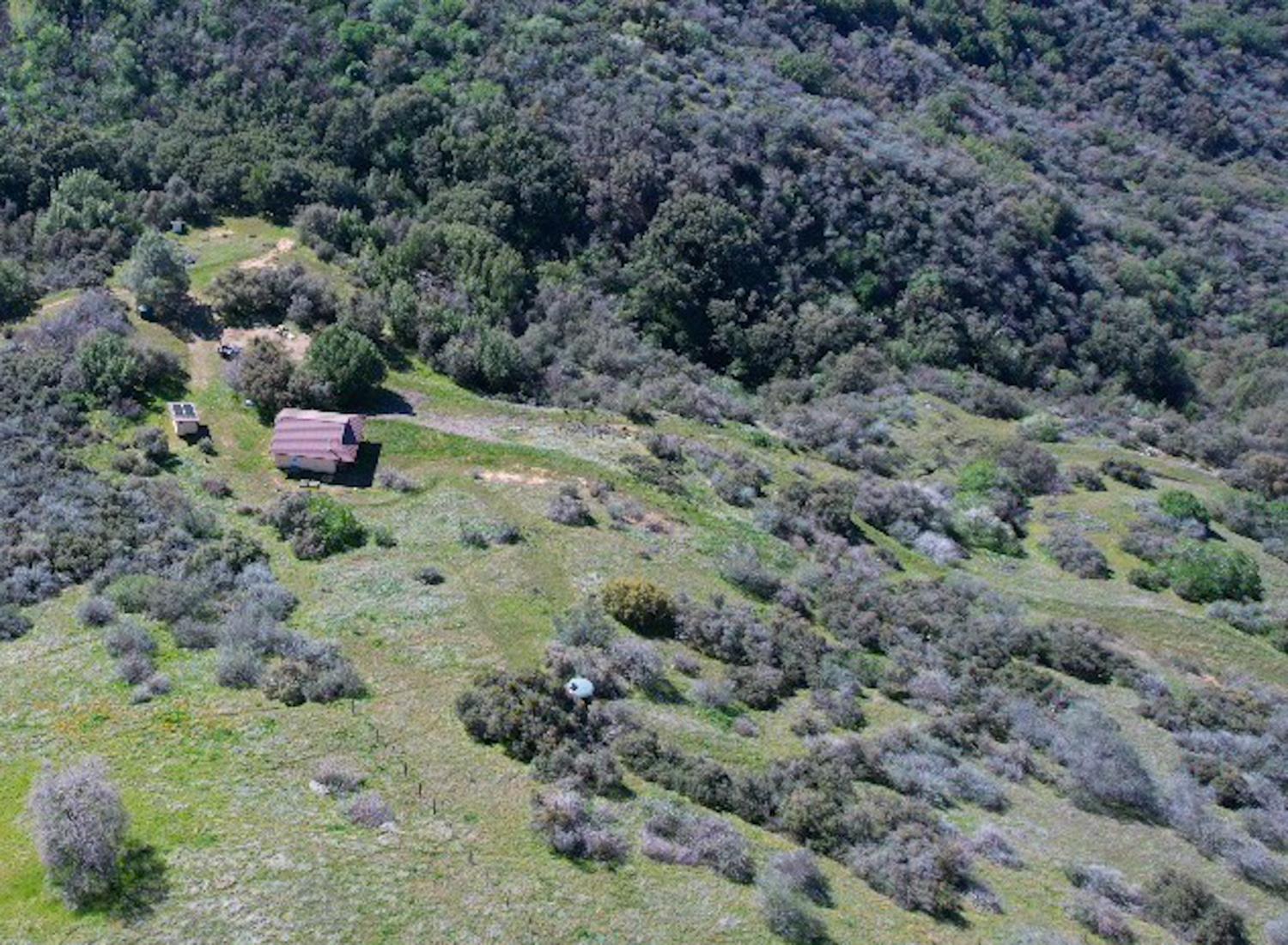 44981 Todd Eymann Road Dunlap, CA 93621 - Photo 29 of 74 Gallery Image 29