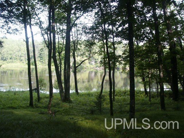 Parcel 2 Off County Rd 577, Unit 2 Carney, MI 49812 - Photo 6 of 13