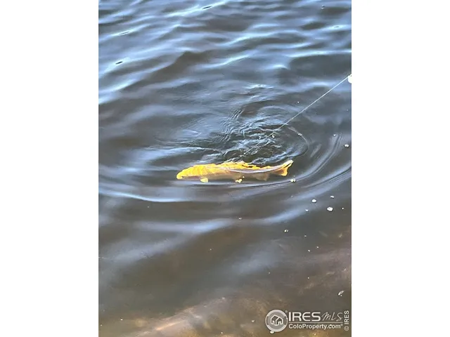 $399,950 | 463 Nowata Drive, Red Feather Lakes, CO 80545