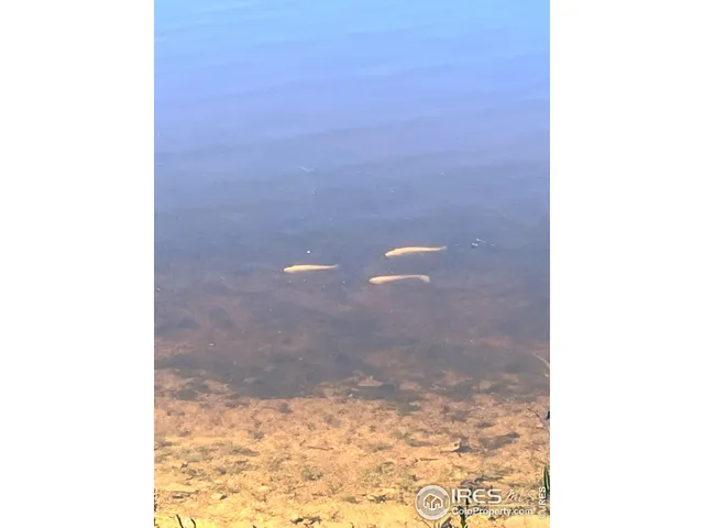 $399,950 | 463 Nowata Drive, Red Feather Lakes, CO 80545