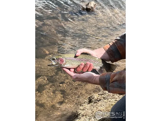 $399,950 | 463 Nowata Drive, Red Feather Lakes, CO 80545