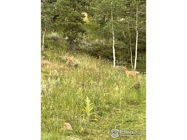 $399,950 | 463 Nowata Drive, Red Feather Lakes, CO 80545