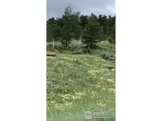 $399,950 | 463 Nowata Drive, Red Feather Lakes, CO 80545