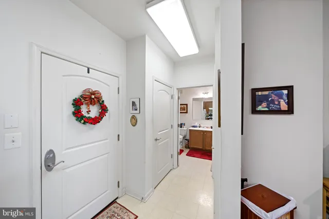 a view of a backyard with plants and large trees