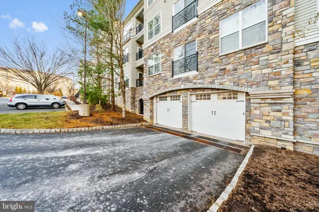 a view of a backyard with plants and large trees