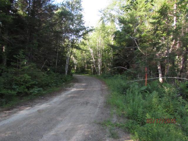 Lot 17 East Branch Road Howland, ME 04448 - Photo 5 of 10 Photo