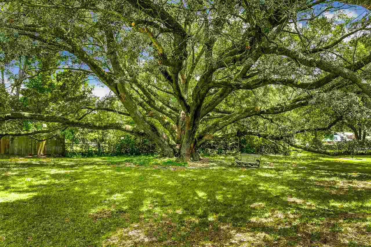2850 Stefani Road Cantonment, FL 32533 - Photo 38 of 49 Gallery Image 38