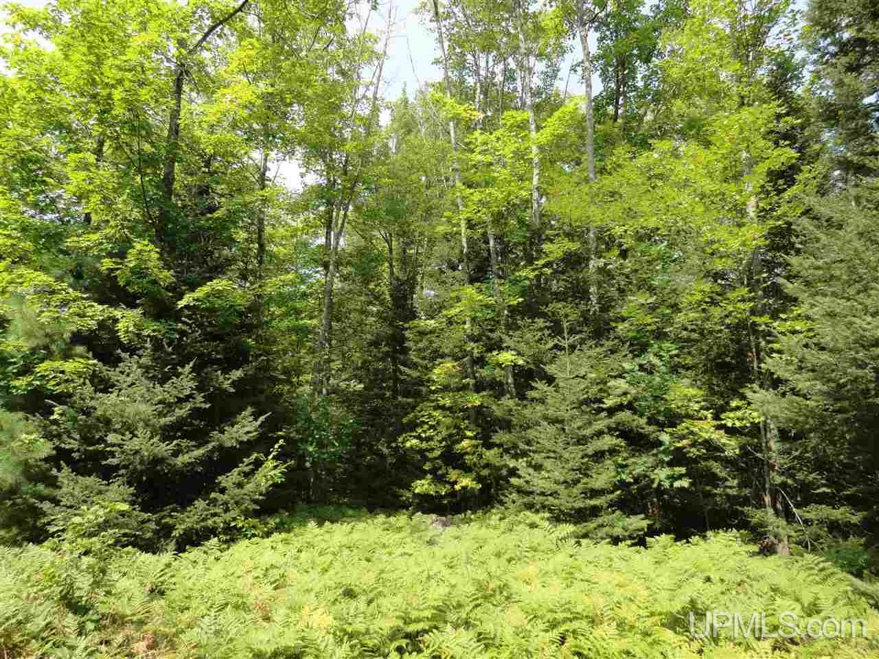 40-acres 40-acres Co Road Ishpeming, MI 49849 - Photo 32 of 36