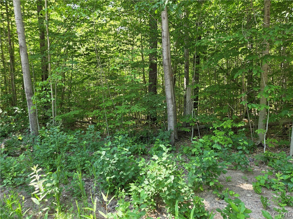 7399 Pennysettlement Road Lyonsdale, NY 13433 - Photo 2 of 7