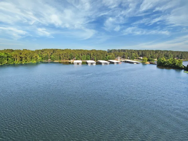 a view of a lake with houses in the back