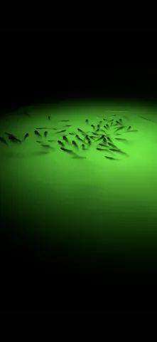 $2,100,000 | 14362 Calvary Road, Willis, TX 77318