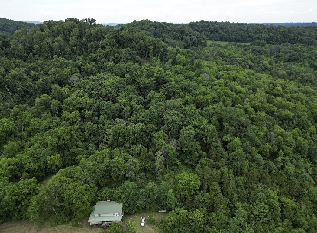 98 Hackett Valley Road Hickman, TN 38567 - Photo 39 of 41