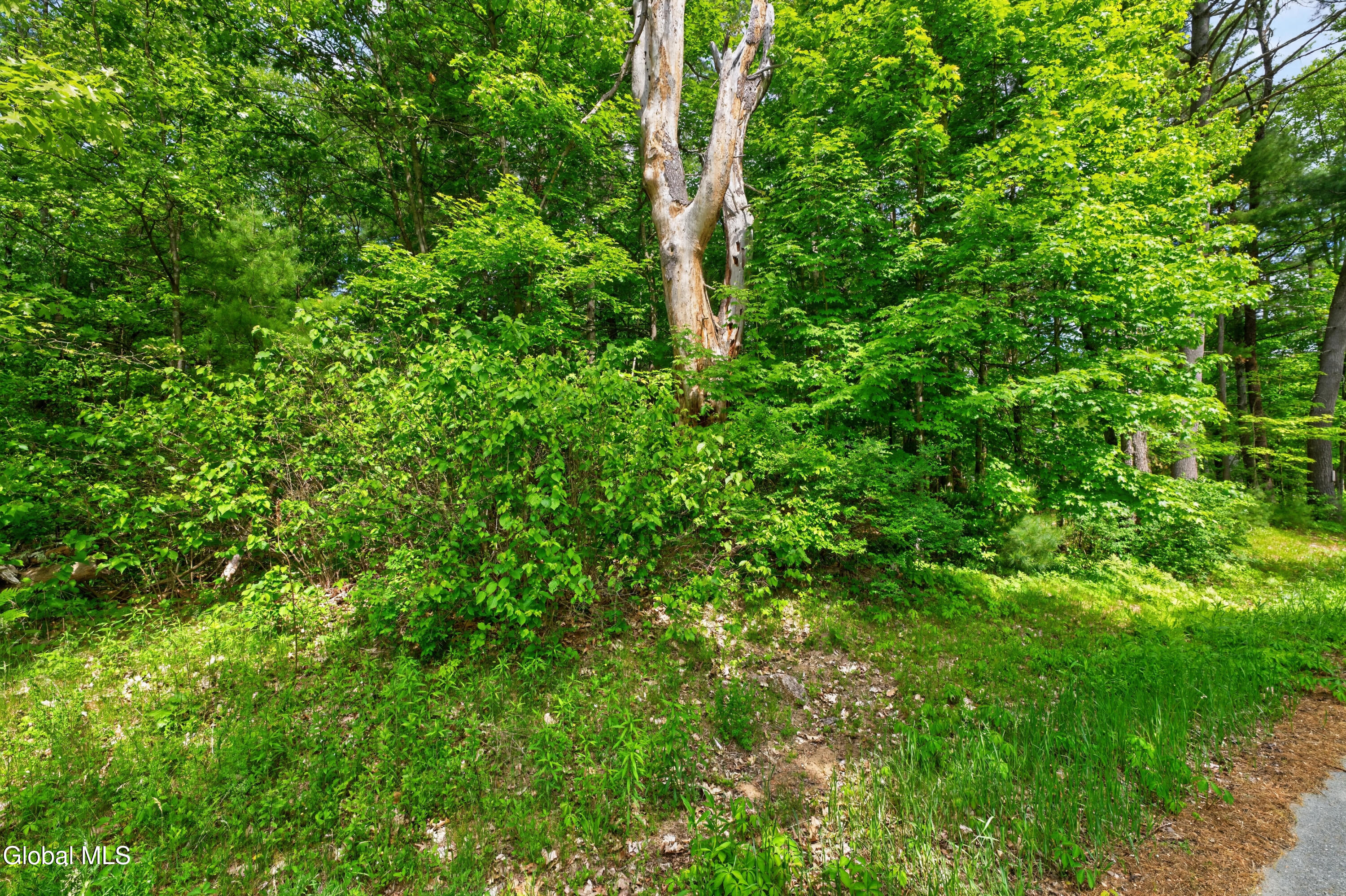 L1-27.11 Ruggles Road Wilton, NY 12831 - Photo 6 of 22 1 Ground Photo 20