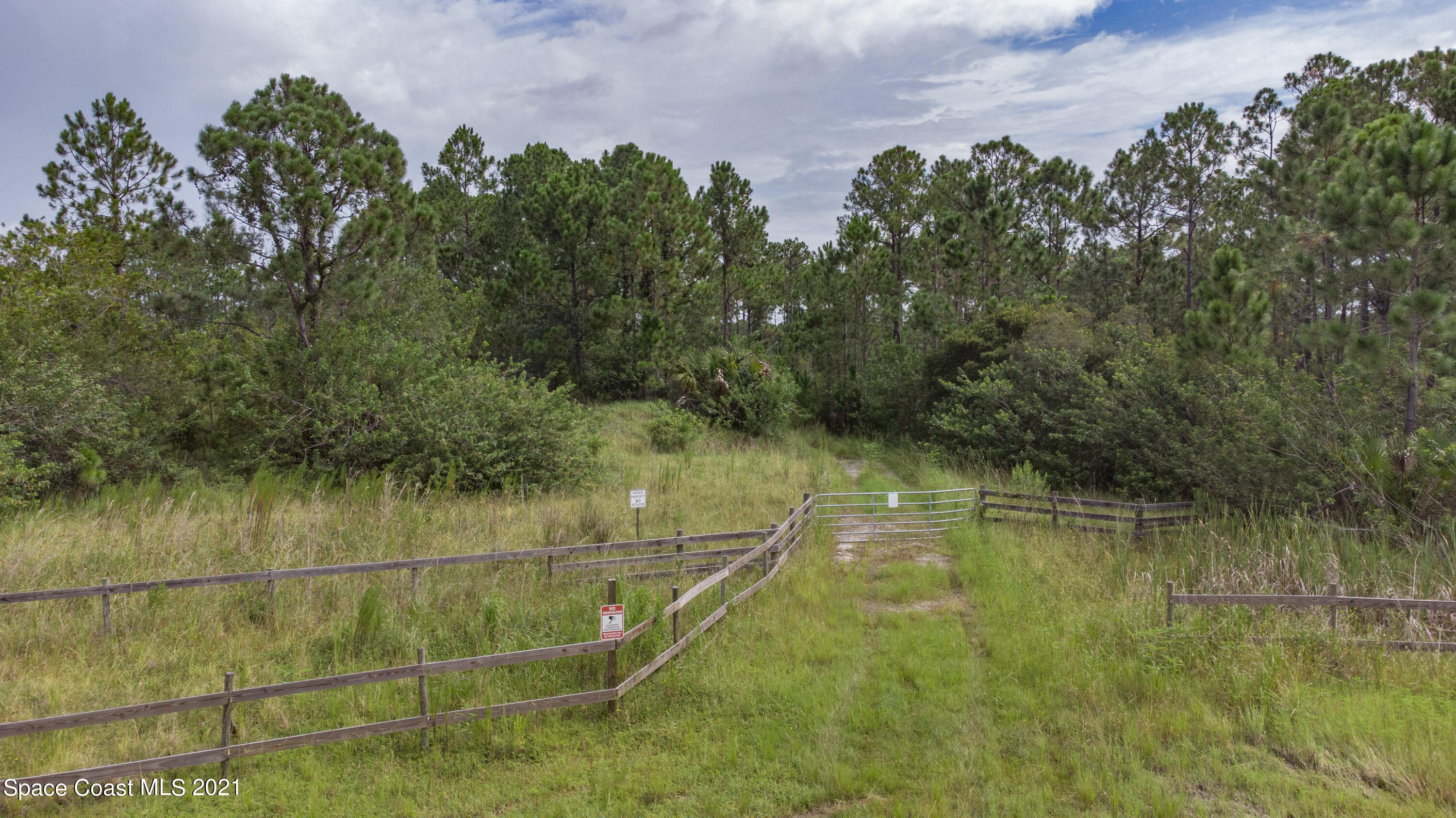 10061 Blackberry Road Mims, FL 32754 - Photo 1 of 21 DJI_0132