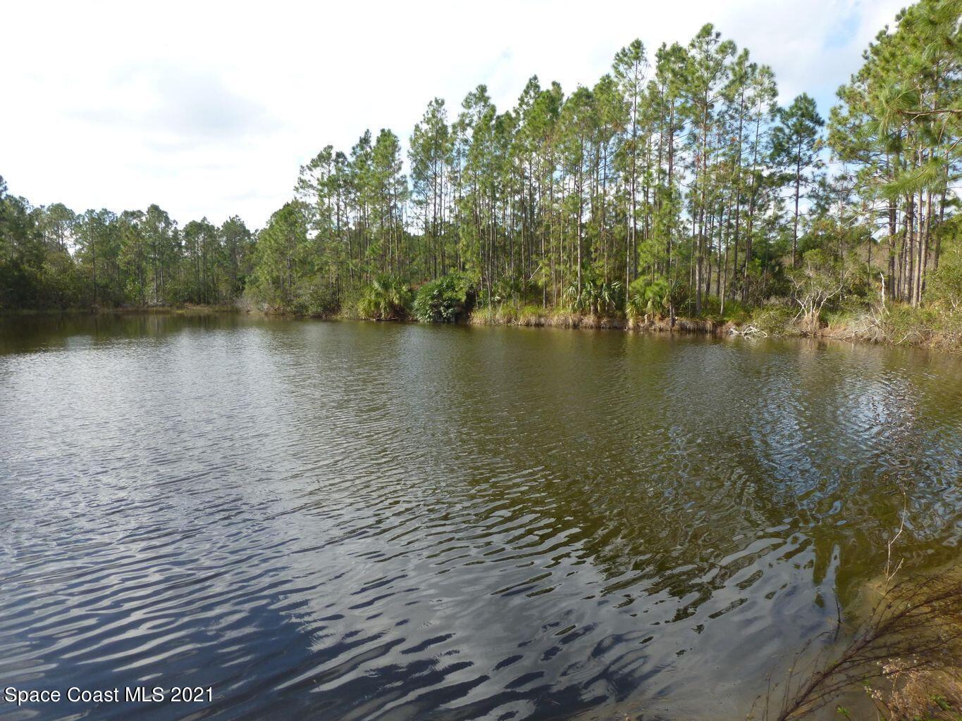 10061 Blackberry Road Mims, FL 32754 - Photo 3 of 21 20171221185352332282000000-o