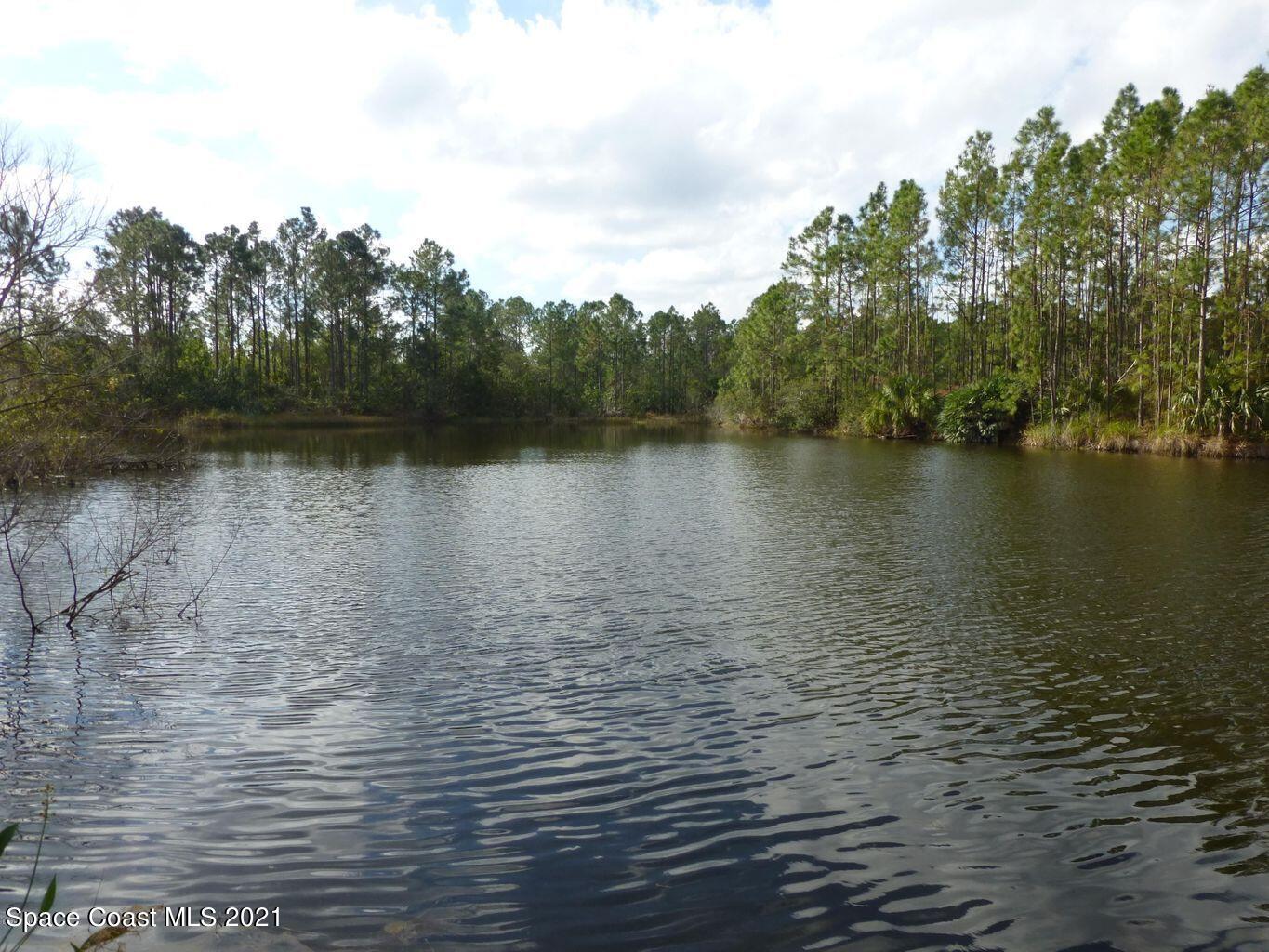 10061 Blackberry Road Mims, FL 32754 - Photo 4 of 21 20171221185330704980000000-o