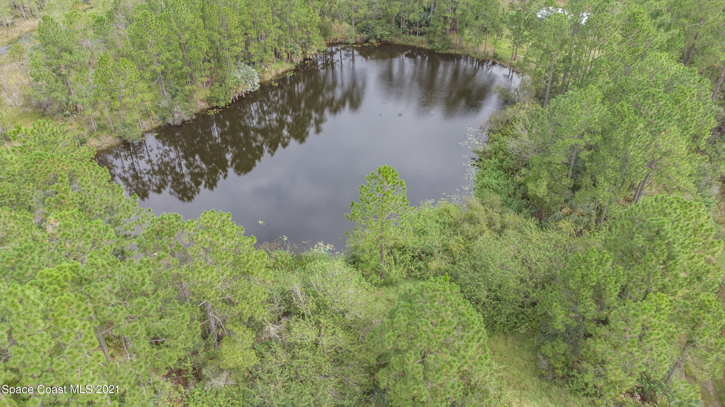 10061 Blackberry Road Mims, FL 32754 - Photo 6 of 21 DJI_0134