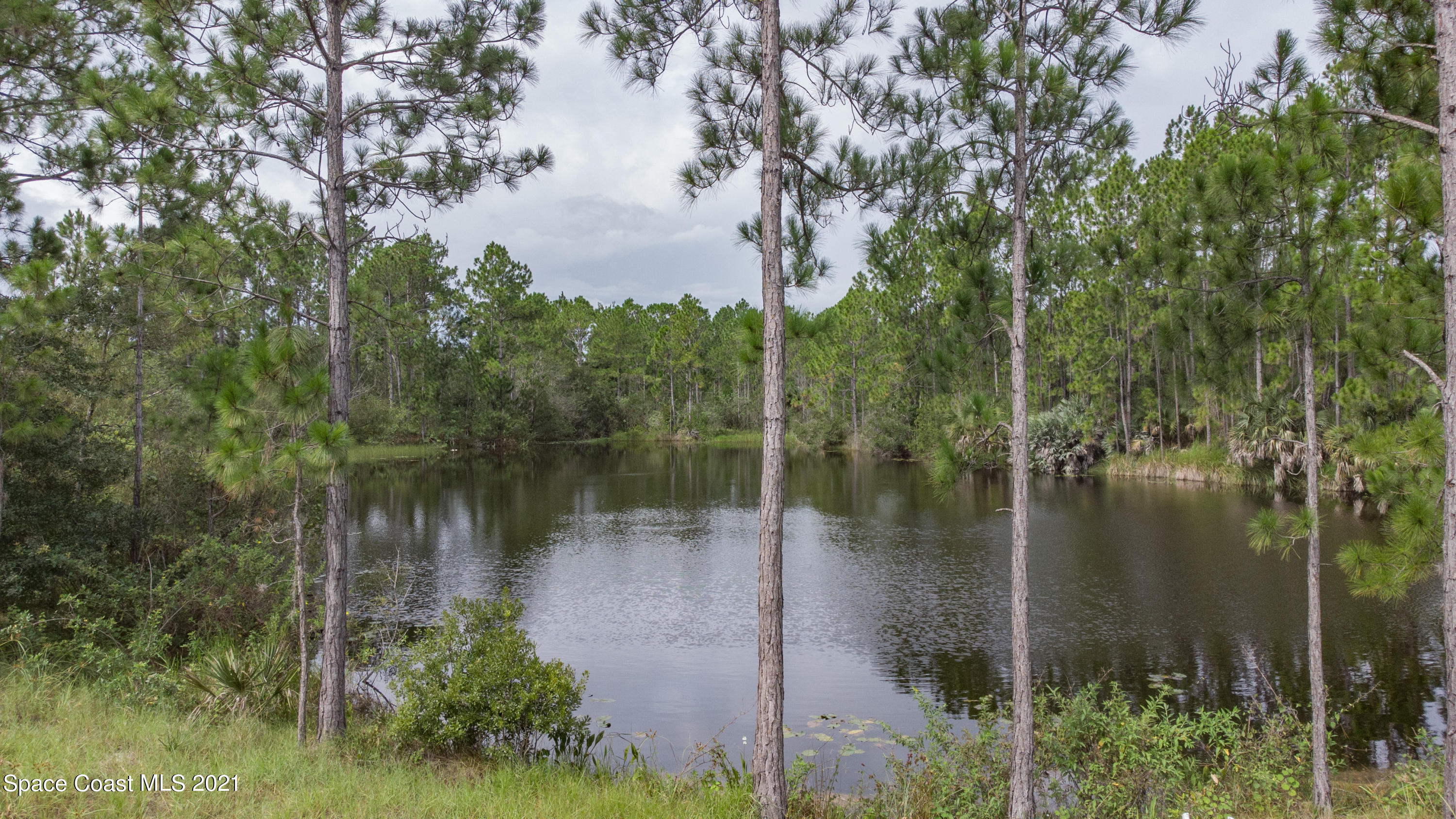 10061 Blackberry Road Mims, FL 32754 - Photo 8 of 21 DJI_0137