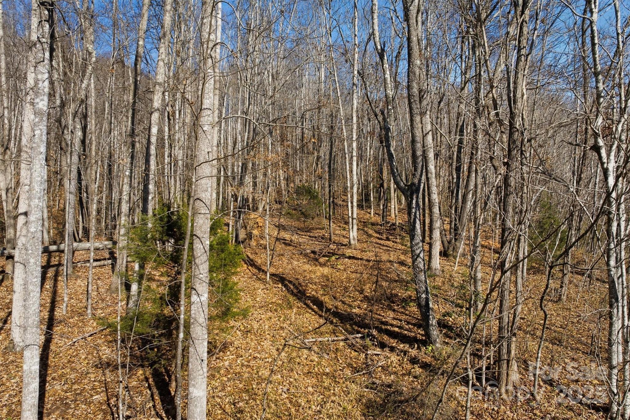 1038 Round Rock Road, Unit 49/50 Lenoir, NC 28645 - Photo 12 of 46 a bathroom with a shower