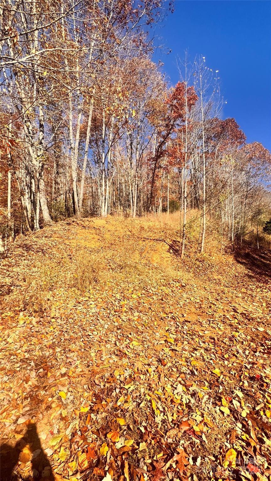 1038 Round Rock Road, Unit 49/50 Lenoir, NC 28645 - Photo 14 of 46 a view of empty space with city view