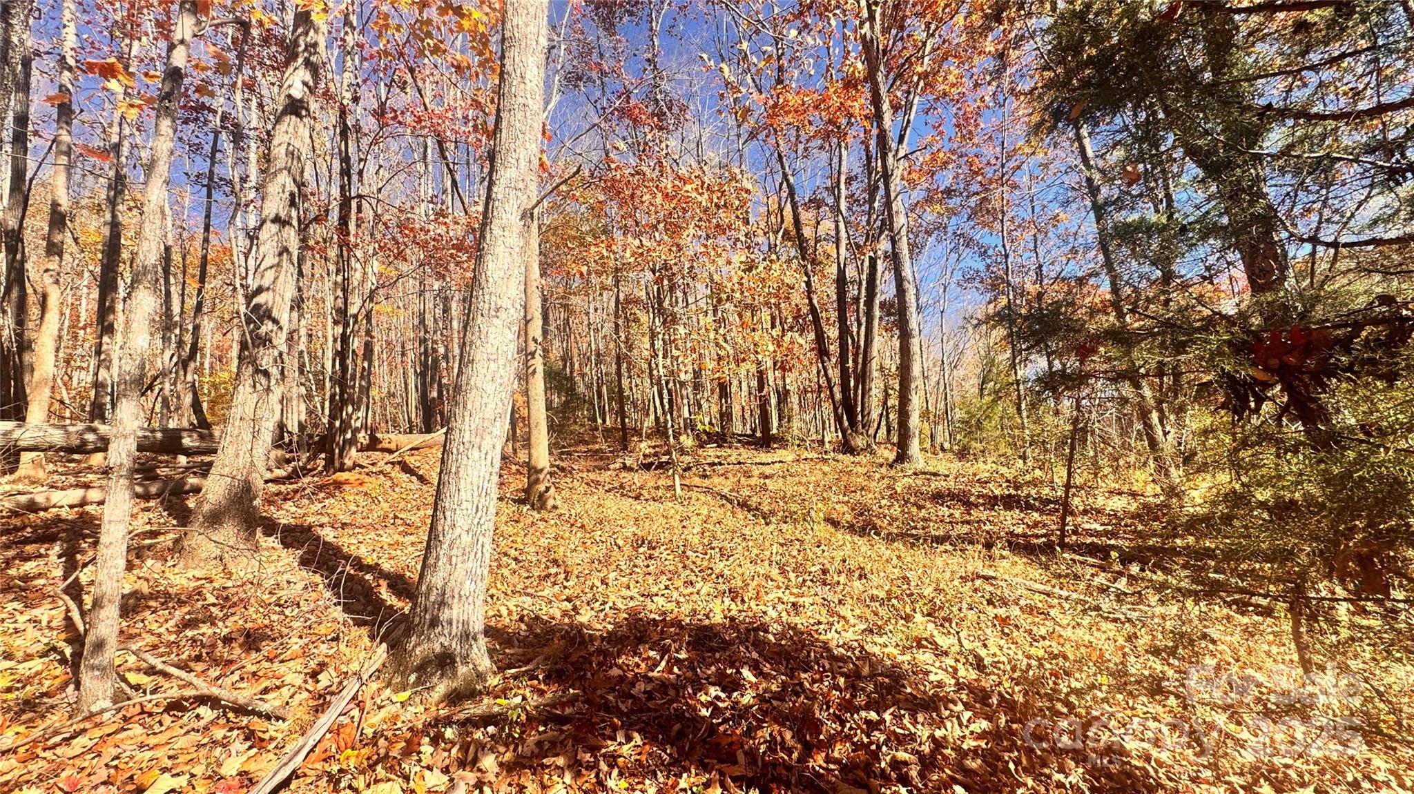 1038 Round Rock Road, Unit 49/50 Lenoir, NC 28645 - Photo 15 of 46 a view of wooden fence
