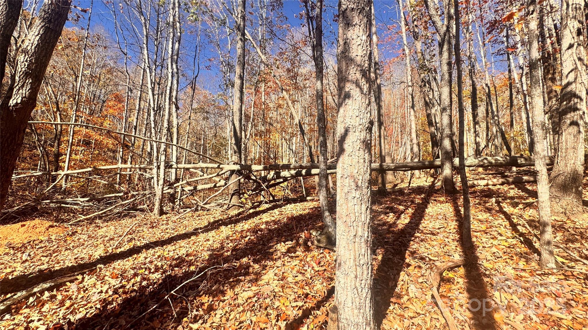 1038 Round Rock Road, Unit 49/50 Lenoir, NC 28645 - Photo 16 of 46