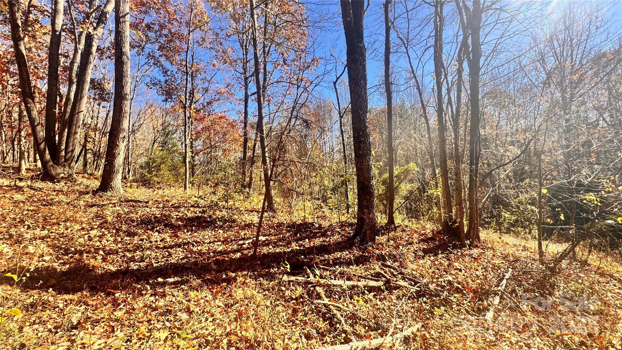 1038 Round Rock Road, Unit 49/50 Lenoir, NC 28645 - Photo 17 of 46 a view of covered with snow