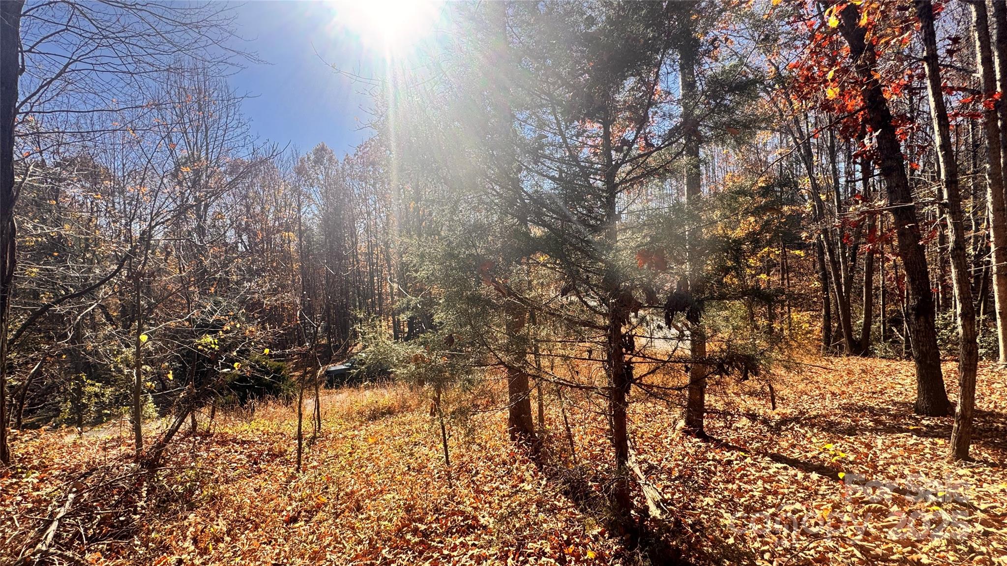 1038 Round Rock Road, Unit 49/50 Lenoir, NC 28645 - Photo 18 of 46 a view of a yard with trees
