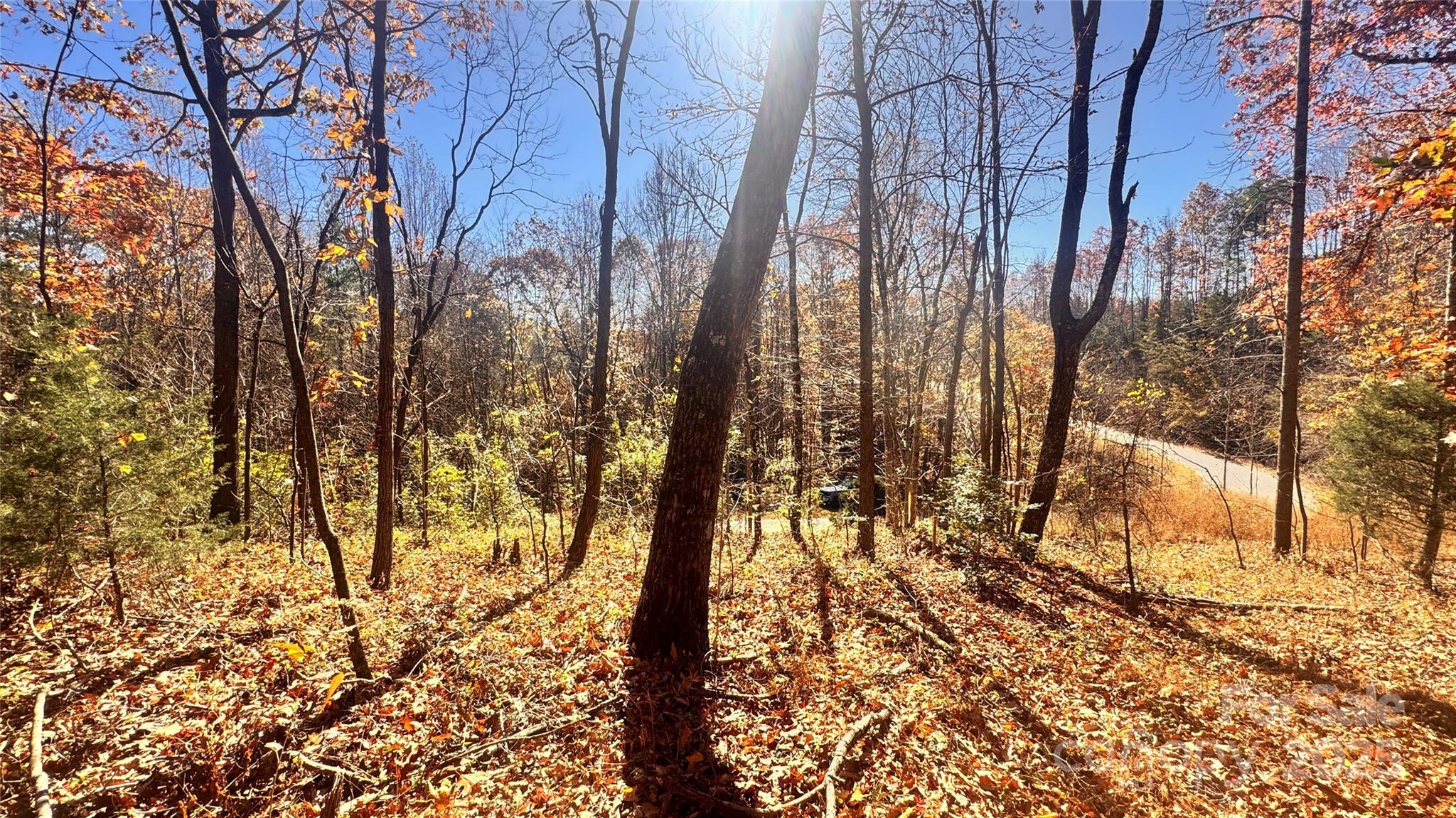 1038 Round Rock Road, Unit 49/50 Lenoir, NC 28645 - Photo 22 of 46 a view of yard