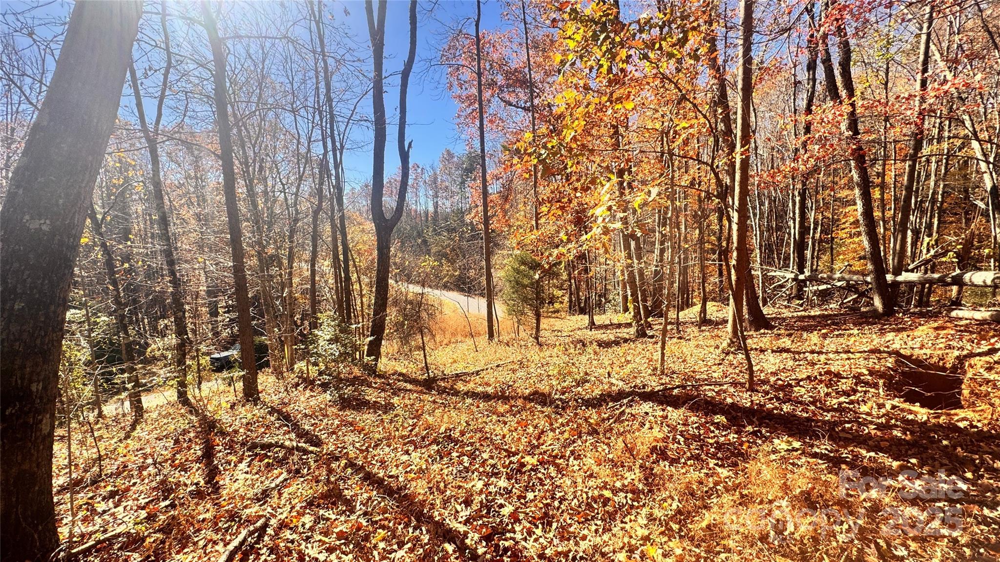 1038 Round Rock Road, Unit 49/50 Lenoir, NC 28645 - Photo 24 of 46 a view of covered with snow