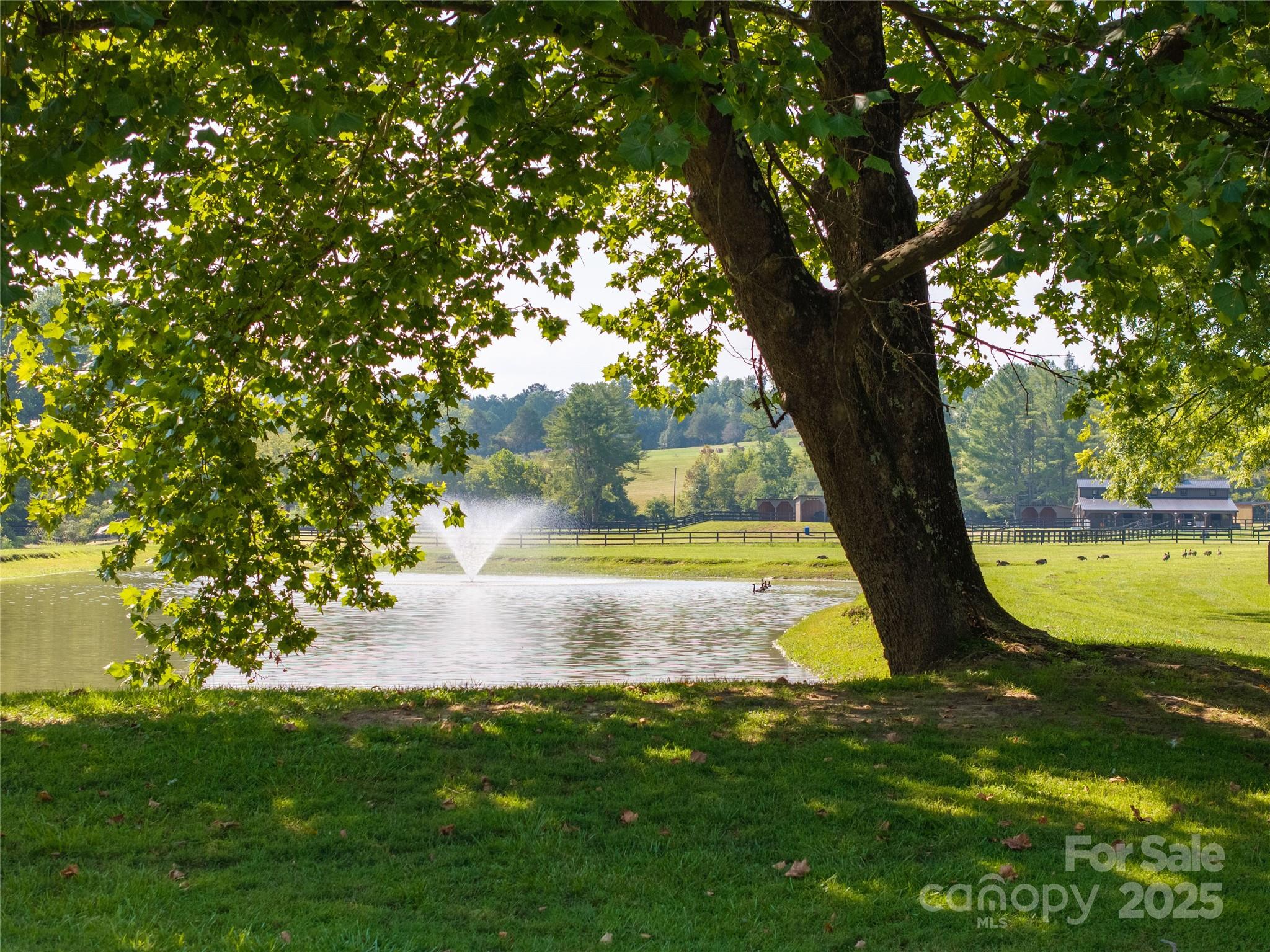 1038 Round Rock Road, Unit 49/50 Lenoir, NC 28645 - Photo 42 of 46 a view of swimming pool with a yard