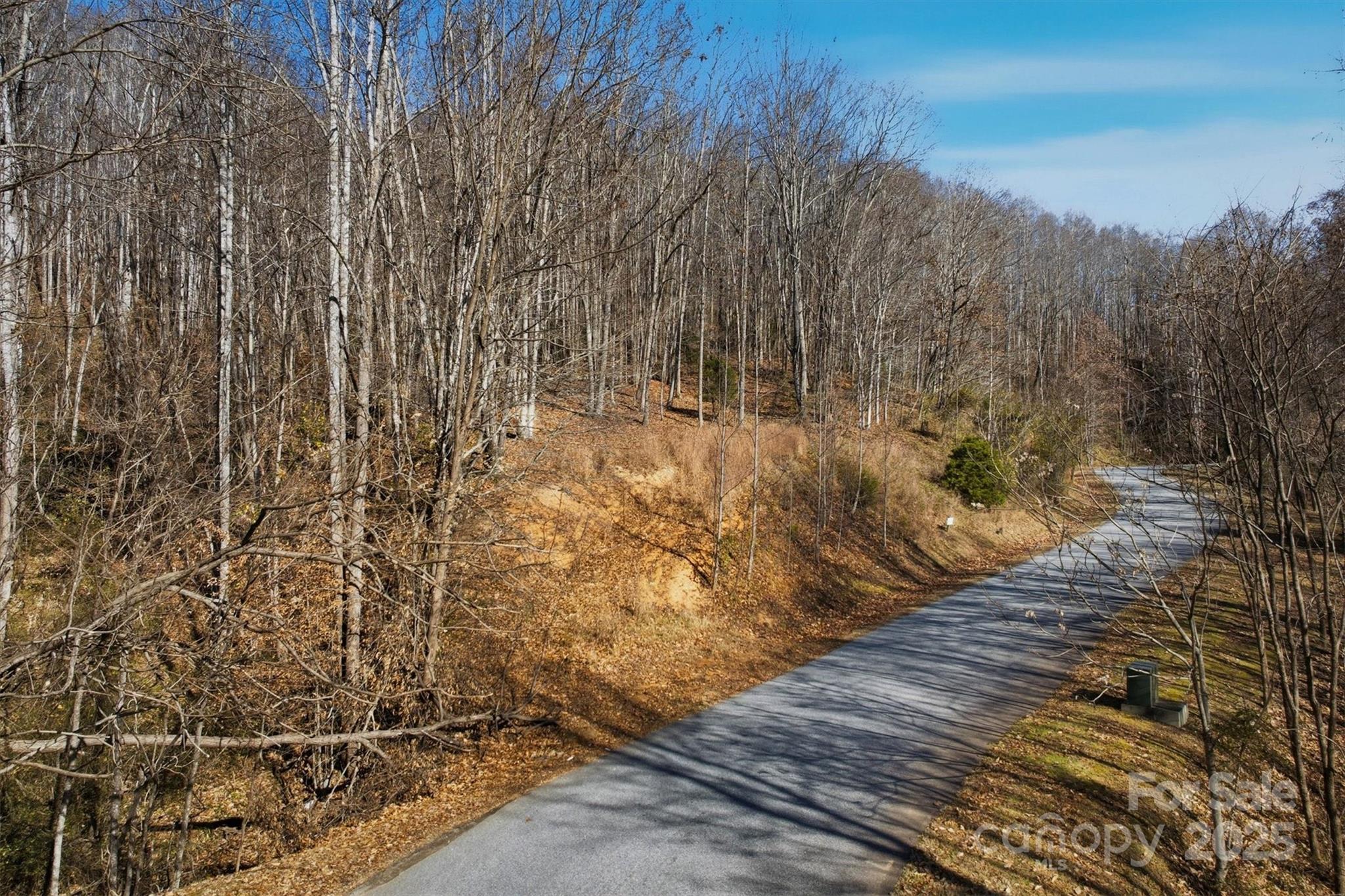 1038 Round Rock Road, Unit 49/50 Lenoir, NC 28645 - Photo 10 of 46 a view of a yard