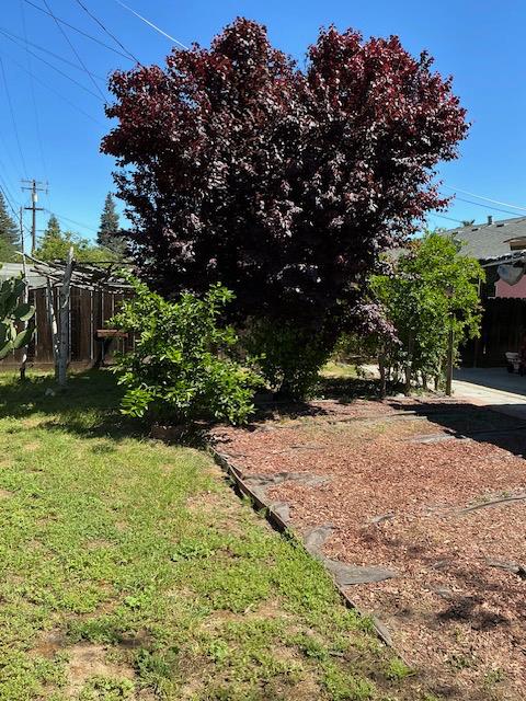 1629 ToniLane Modesto, CA 95351 - Photo 17 of 17