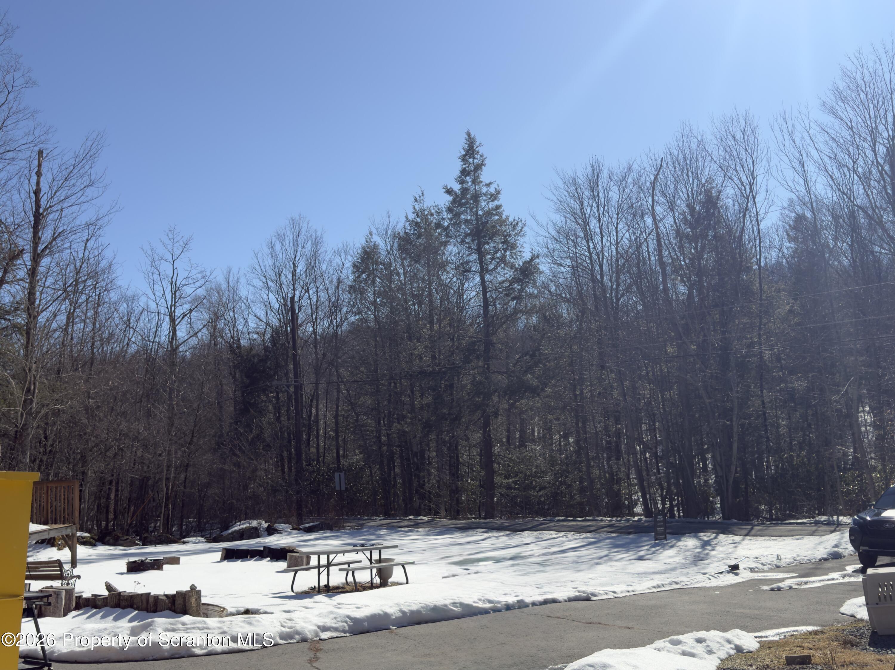 91 Pond Road Lake Ariel, PA 18436 - Photo 30 of 31 Front Yard