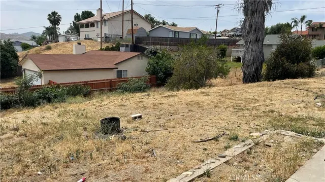 a view of a dry yard with trees