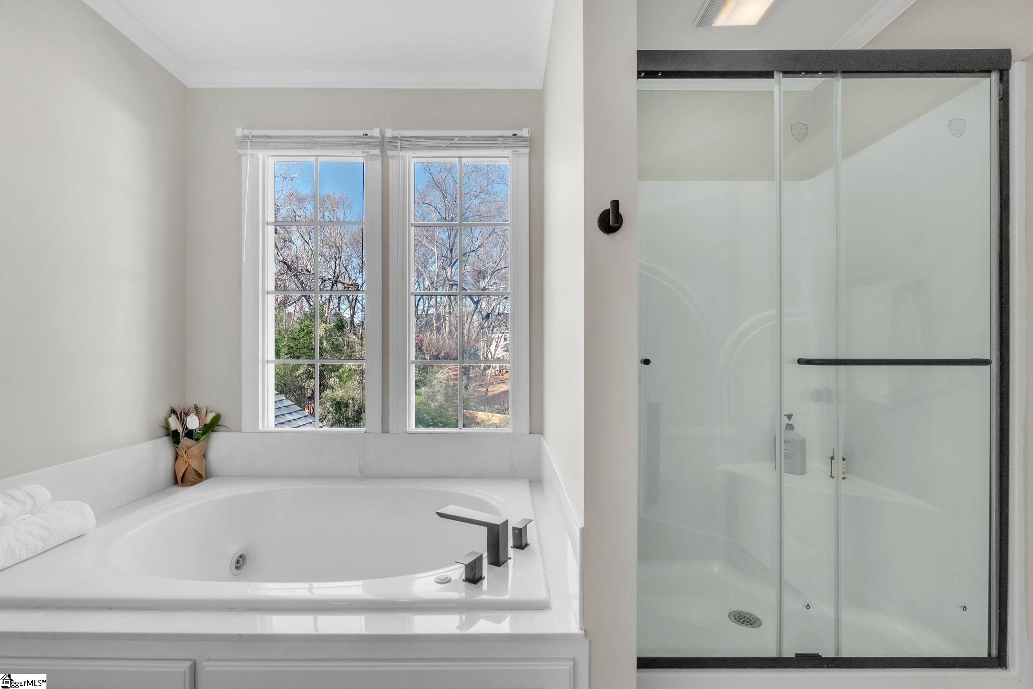 3 Red Gate Court Simpsonville, SC 29680 - Photo 19 of 42