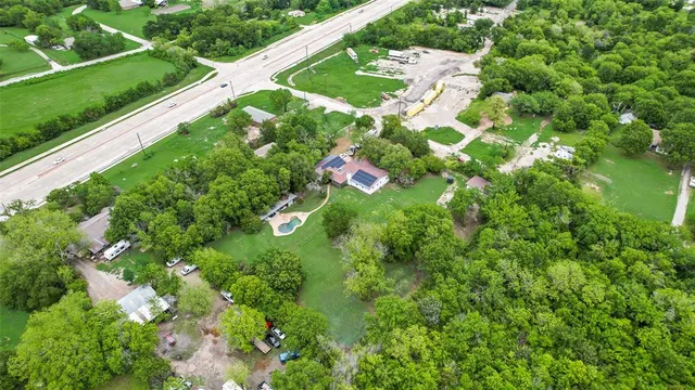 a view of a garden with plants