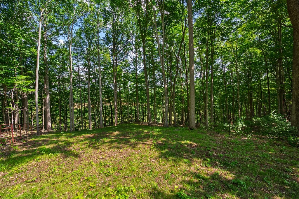 1610 Pope Road Ivanhoe, VA 24350 - Photo 66 of 93 Gallery Image 66