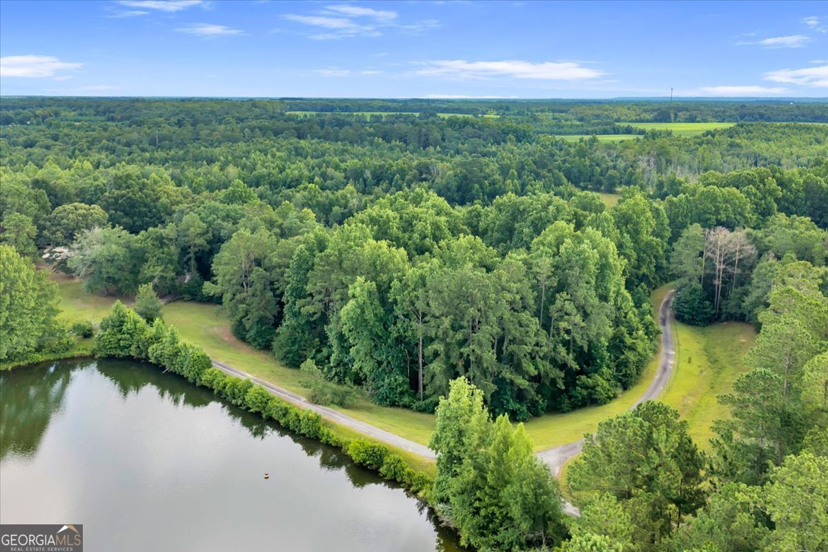 1060 Cooks Mill Road Oglethorpe, GA 31068 - Photo 82 of 104