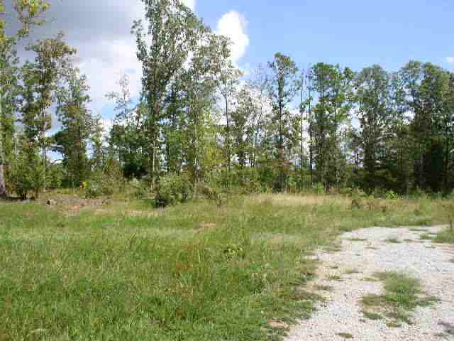 135 Duncan Road Six Mile, SC 29682 - Photo 21 of 21 Gallery Image 21